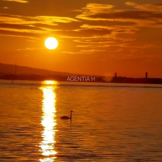 Casa-langa studiourile Buftea, 2 constructii, curte cu pomi, 2300mp, langa lac - 51