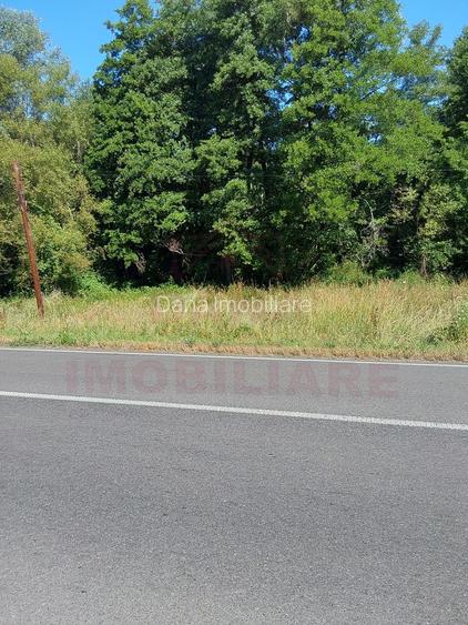 TEREN INTRAVILAN ÎN MARGA-LA DN68 JUD.CARAȘ-SEVERIN - 2