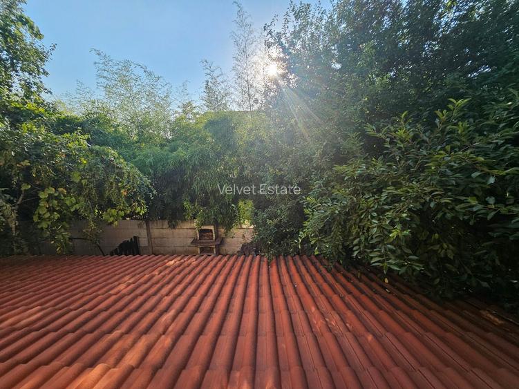 INCHIRIERE VILA 3 CAMERE ZONA IANCU NICOLAE! - 22