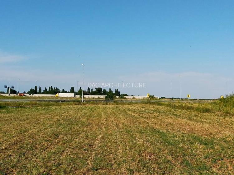 Teren intravilan 2,502mp Moara Vlasiei - 5