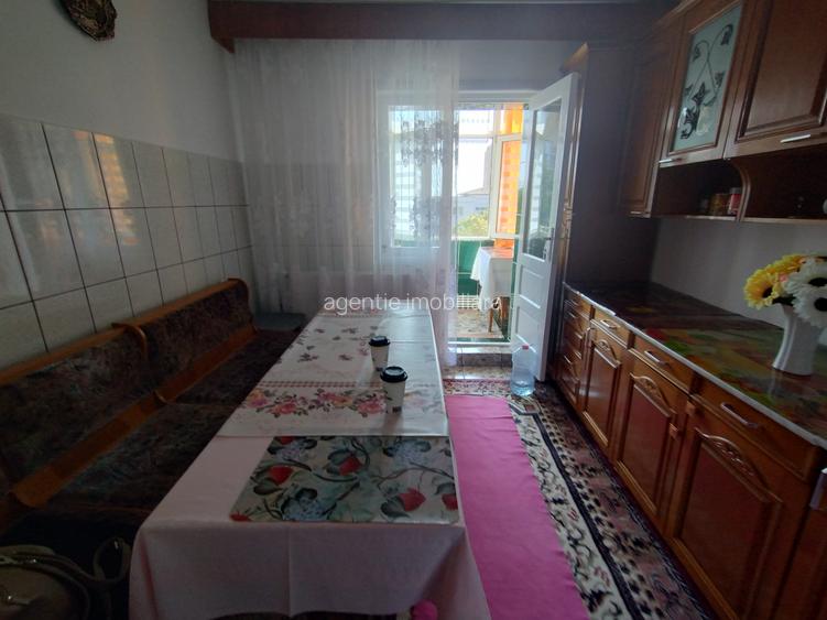 2decomandat -sensul giratoriu la delfini - 2