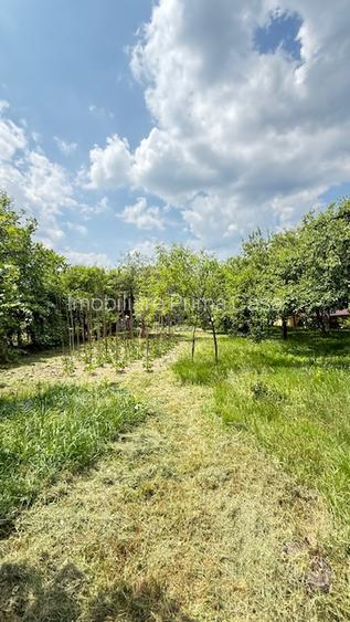 BAIA SPRIE - spre Cavnic Vila D+P+E 168mp + anexa cu teren 1526mp! - 8