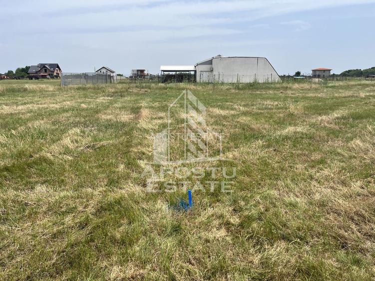 Teren intravilan pentru servicii 1518,  de vanzare,  Remetea  Mare. - 3