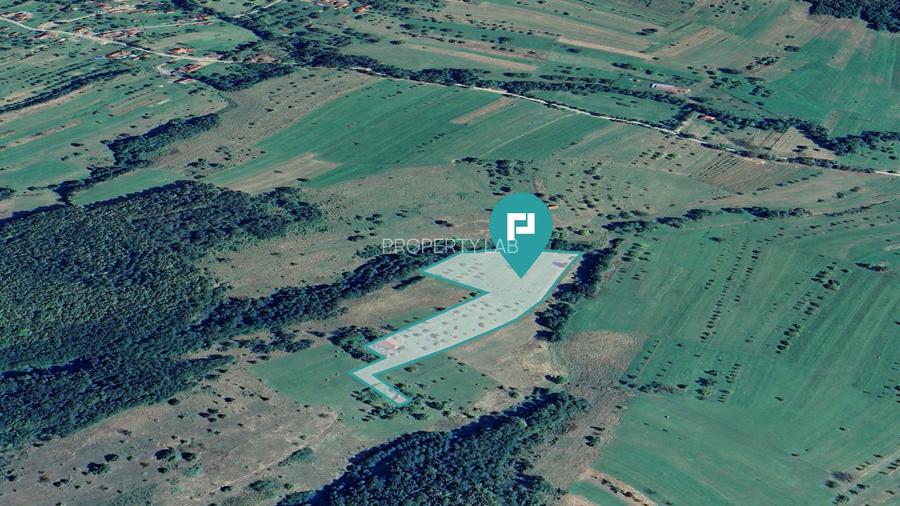 Teren de 92294 in Halmagiu - 4