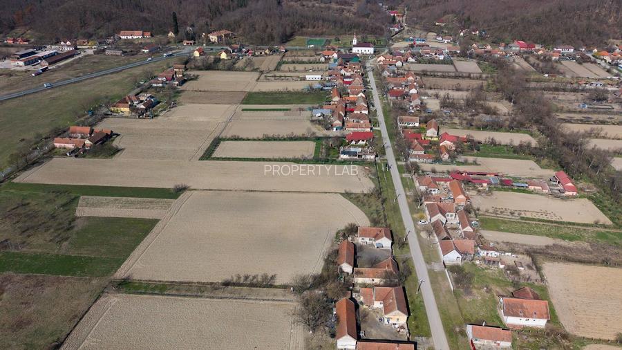 Loc de casă în Odvoș - Conop 3000mp - 22