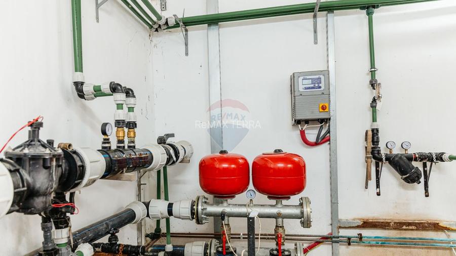 BUSINESS DE VANZARE Plantatie de afin din Romania - 14