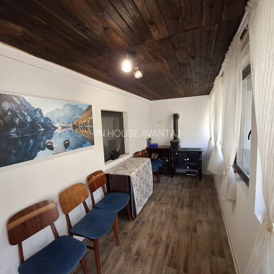 Casa de Vacanta Lepsa - 14