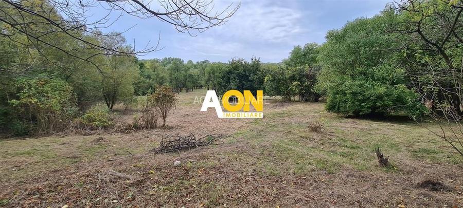 De vanzare casa 6 camere 8142 mp teren in Oarda de Sus - 27