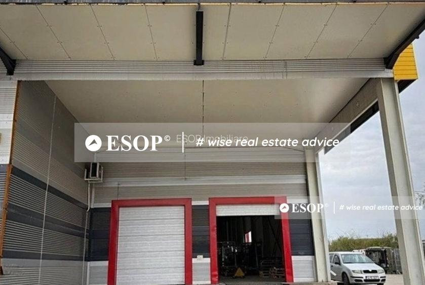 Hala industriala PREMIUM, zona Centura - Mogosoaia, 2450mp, ID 15425 - 3