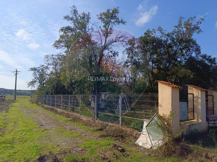 Teren 800mp Ghermanesti / Soseaua Ghermanesti - 9