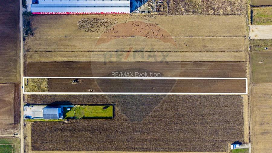 COMISION 0% Teren 25,000mp Ghimbav / Strada Sanzienei - 10