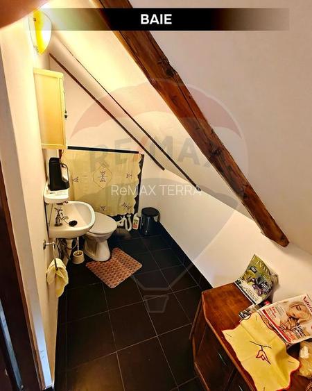 Cabană de vacanță în Băiuț, Maramureș | Natură, liniște și intimitate - 13
