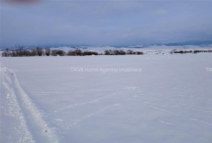 Teren intravilan in Sineu, com. Remetea - 8