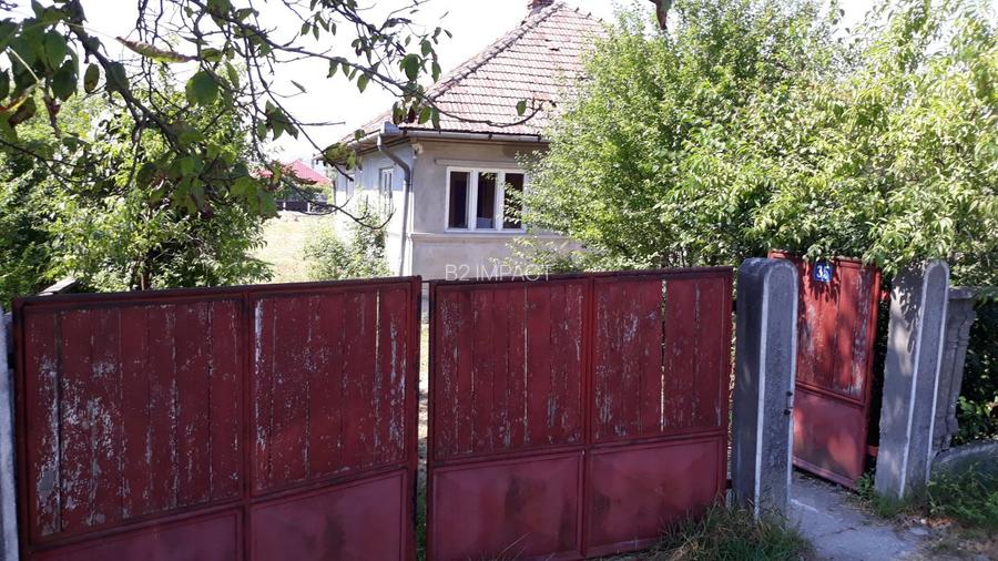 Teren intravilan casa si anexe Loc. Babeni, jud Salaj (licitatie) - 2