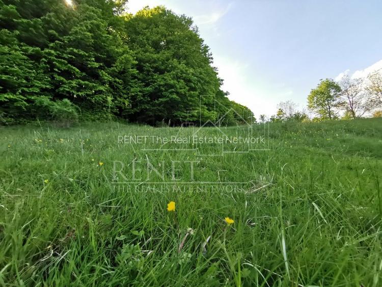 Oportunitate de Investiție - Teren de Basm in Bascov. DIRECT PROPRIETAR. - 9