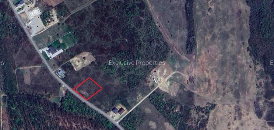 Teren de vanzare in Paleu - Saldabagiu la asfalt, gaze si electricitate - 3