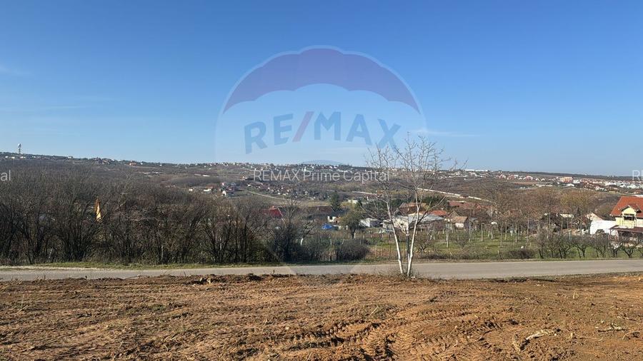 Teren intravilan de vânzare, 1107 mp –Paleu, județul Bihor - 6