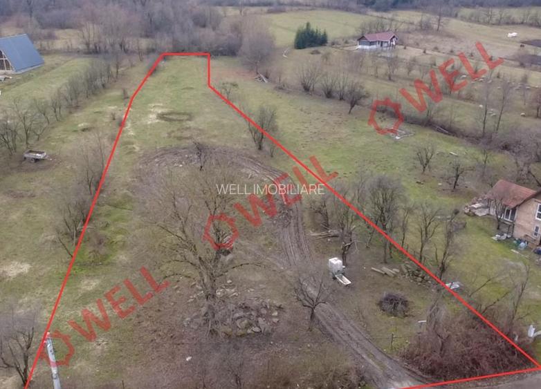 Teren intravilan de vânzare în Păpăuți! - 3
