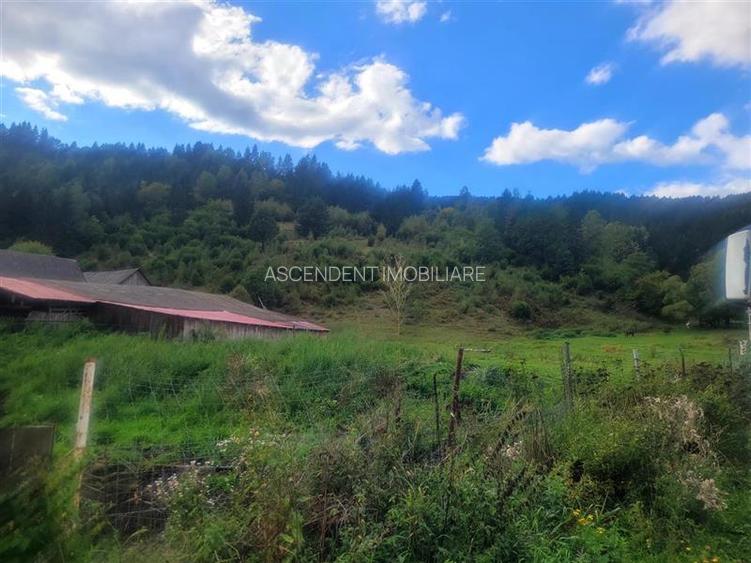 FILM! Teren 33.274 mp, Tulghes, Harghita, panorama munte, destinatie recreativa - 3