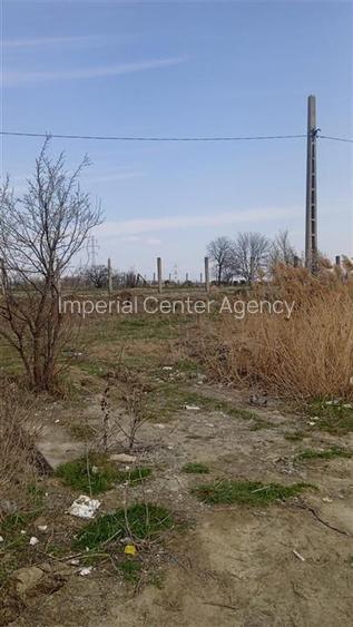 Teren intravilan 5,9 ha compact, platou cu utilitati   ptr.bussines -Hale, Depoz - 3