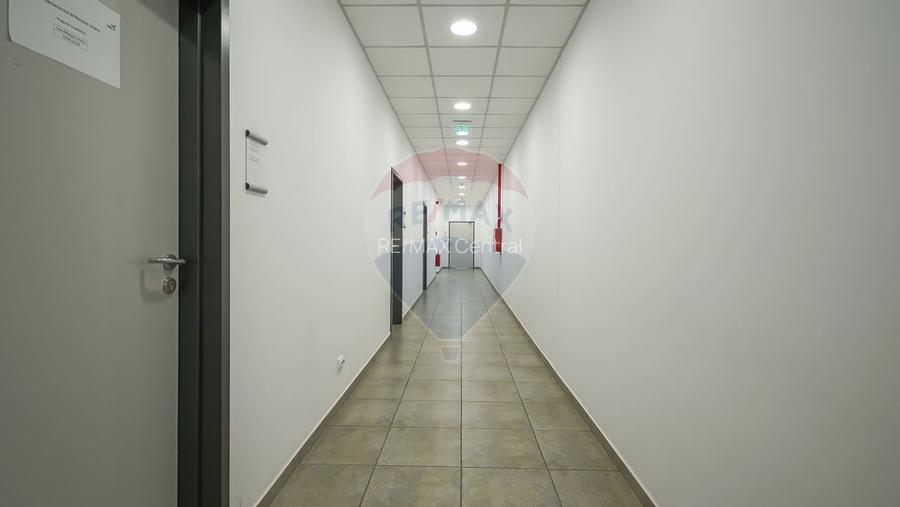 Hală industrială 5.000–12.000 mp de închiriat, Ghimbav - 13