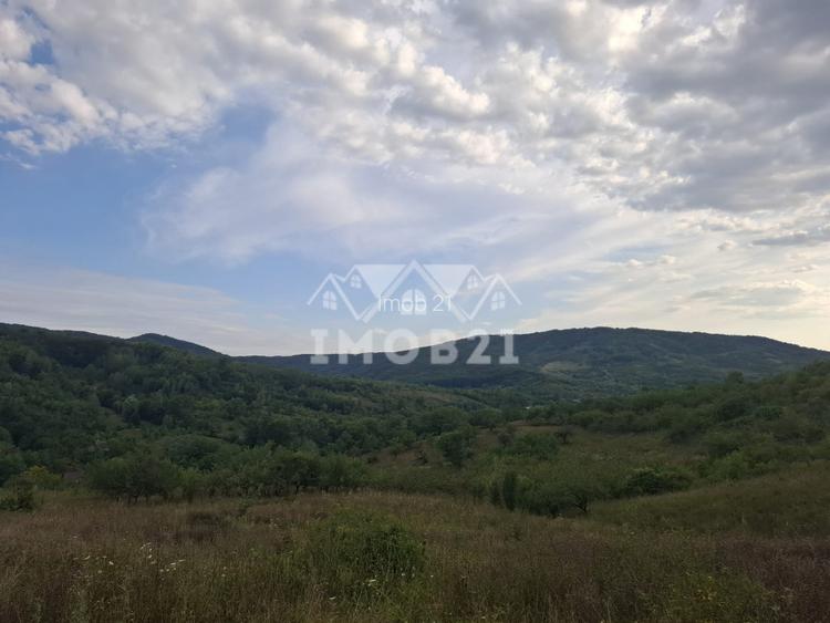 Teren spectaculos cu padure, livada si priveliste panoramica in Soimari PH - 17