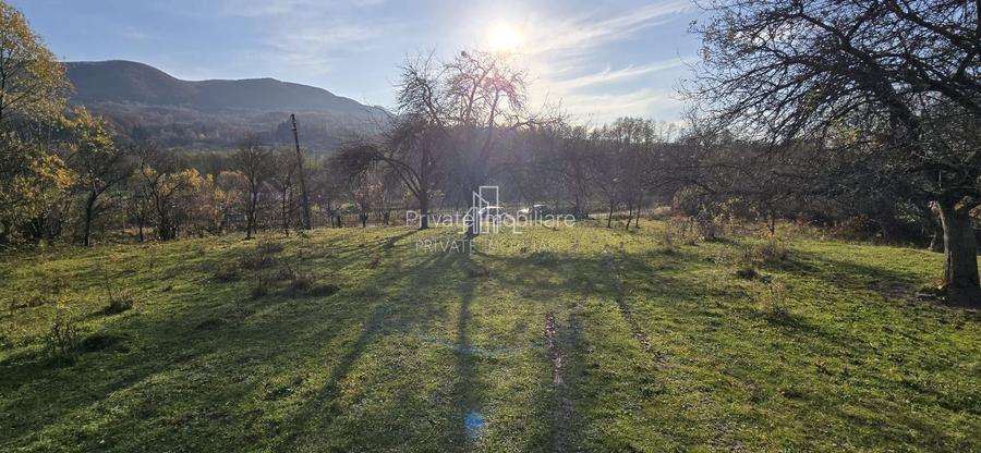 Teren Intravilan 1,2 Hectare cu Cert Urbanism,Sat Tisieu,Com. Ibanesti - 3