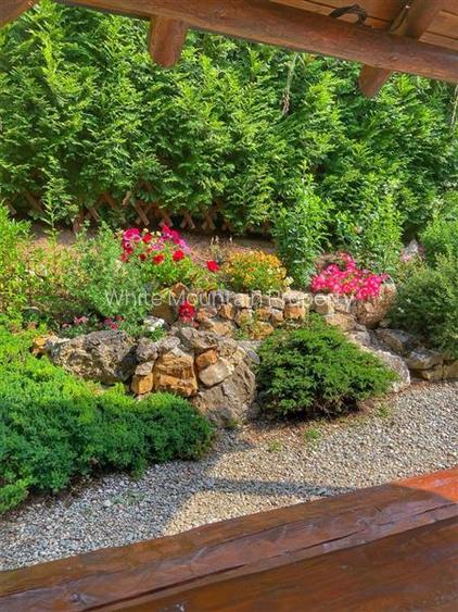 Raritate| Proprietate de vis pe 6 ha intravilan  de vanzare in Pestera Brasov - 18