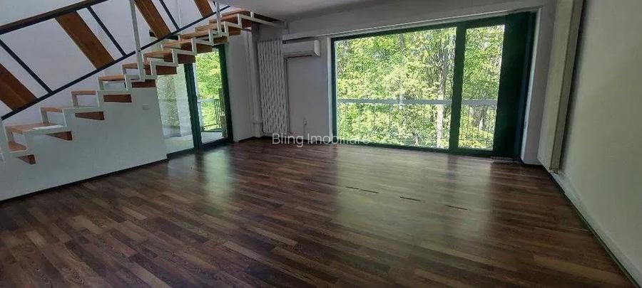 Spatiu Birouri, zona Zorilor 250 MP - 3