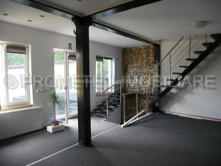 Piata Iancului, metrou, vila P+1E+M cu 5 camere, 3 bai - 7