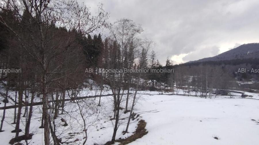 Oportunitate de investiție în stațiunea Cheia - 6