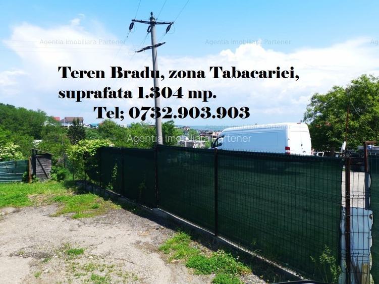 Terenuri Bradu, diverse suprafete - 6