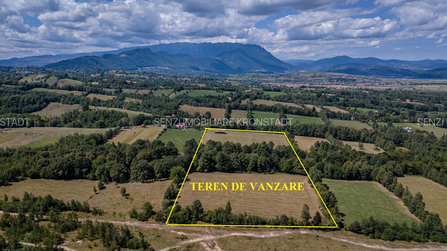 Teren cu panorama de vis in Glajerie- Sohodol - 2