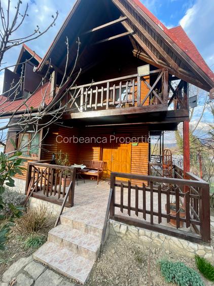 Inchiriem cabana in Calimanesti (Seaca), cu ponton la Olt, gradina - 2
