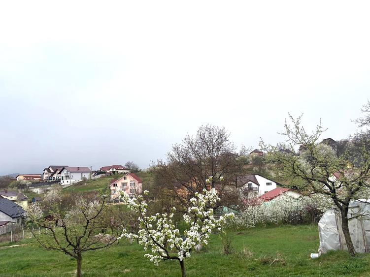 Teren Intravilan zona d-va 2 600mp cu toate utilitatile 100.000eur neg - 4