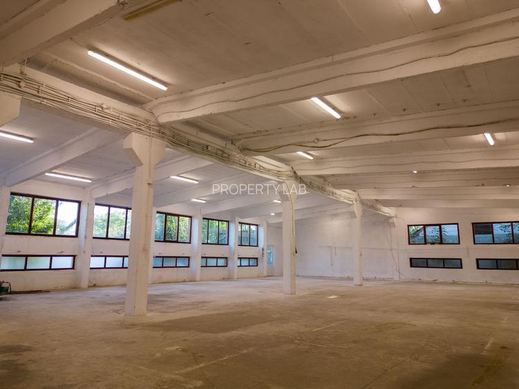 Hală industrială cu multiple destinații în Nădlac - 34
