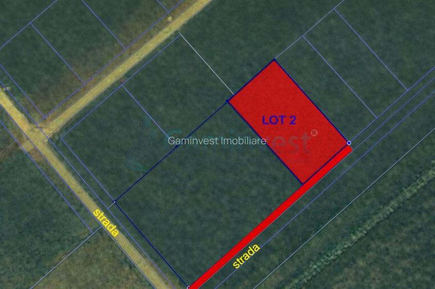 Teren intravilan de vanzare in Sanmartin - 2