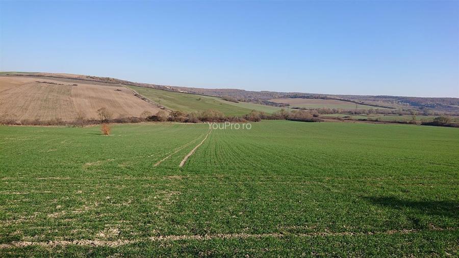 Vand teren in Santelec - 3