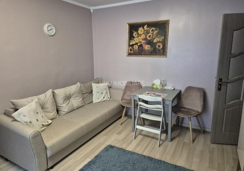 Alexandru - Familial - 2 camere - mobilat + utilat - renovat - 6