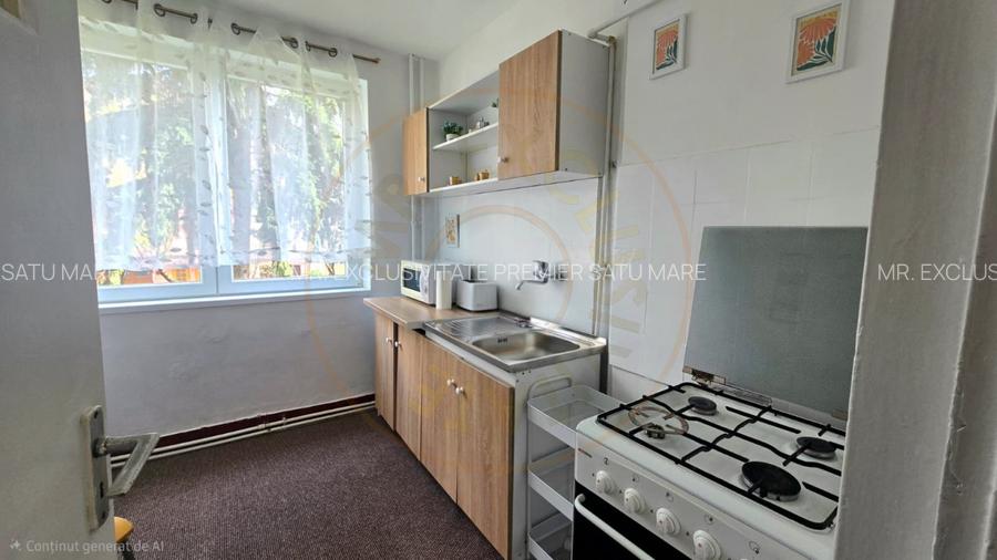 Chirie 2 Camere Satu Mare Central - 2