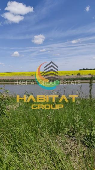 Teren 509 mp, vedere la lac, utilitati la lot - Frumusani - 8