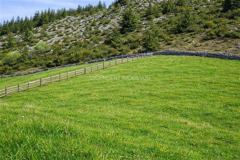 7.000 mp, pozitie spectaculoasa, fara vecini, Fundatica, Brasov - 15