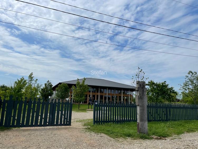 Teren Piscu intravilan,12500 mp, 15 euro mp, 30 m deschidere, toate utilitatile - 12