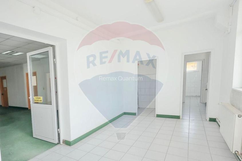 De vânzare Spațiu industrial de 10 129 mp, Șoseaua Borșului - 19