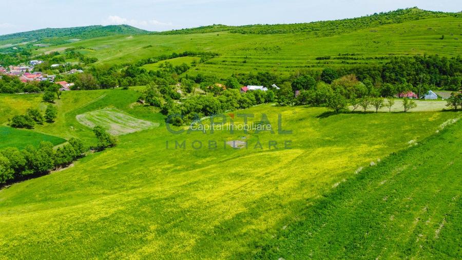 Teren intravilan Codor. Comision 0! - 7