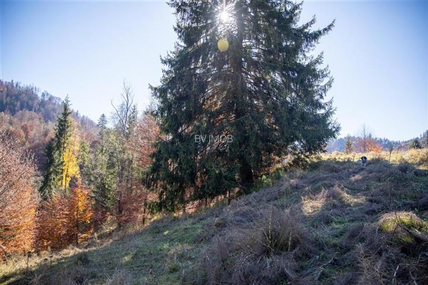 Teren de Vis langa Siriu  – 20000 mp ideal pentru Complex turistic Comision 0% - 15