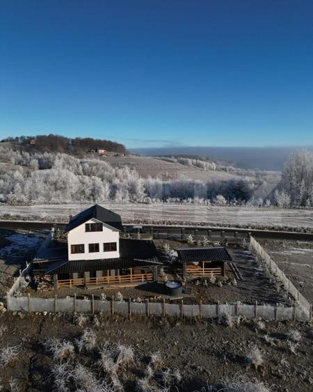 Cabana de vânzare – oportunitate de business / casă de vacanță – Transapuseana