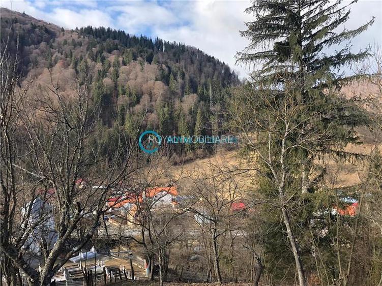 Royal Imobiliare-Vanzare Teren Zona Voineasa - 10