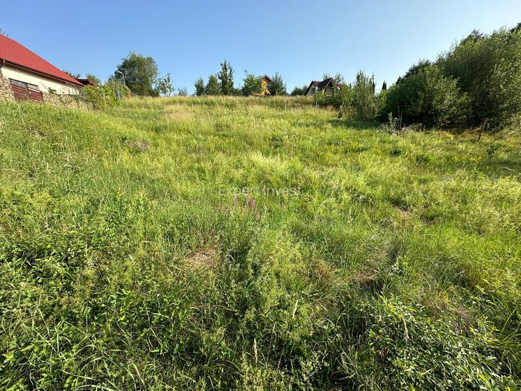 Teren intravilan 880 mp in Cisnadioara - str. Silvicultorilor - 3