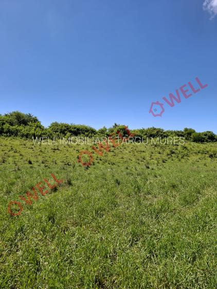 De vânzare teren intravilan de 30 000 m² (3 ha) în Reghin - 12